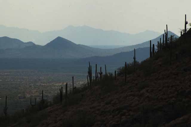 The surrounding mountains of Cave Creek Regional Park